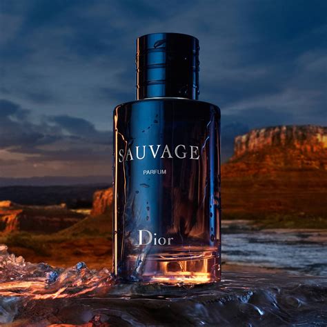 dior sauvage canada in store|best deals on Dior Sauvage.